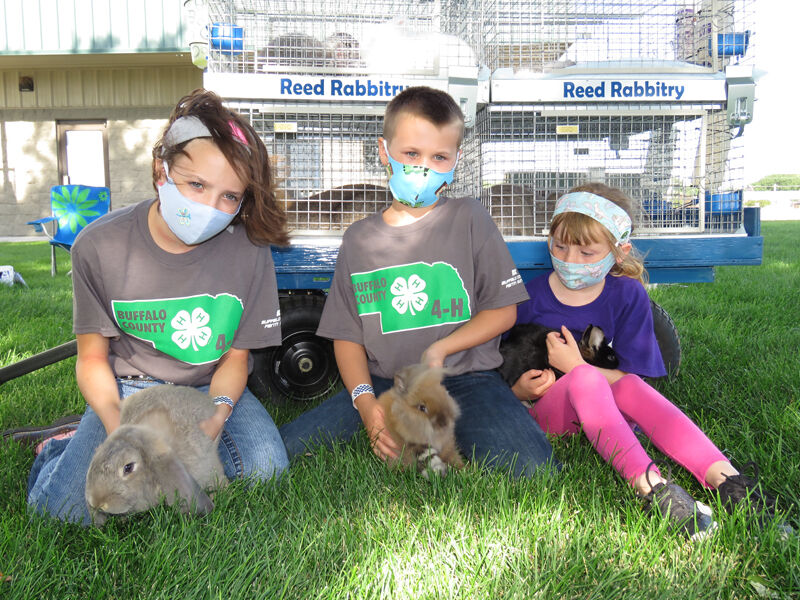 Rabbits, Nova, Sylus and Avery Reed, Kearney